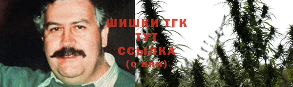 mdpv Бородино