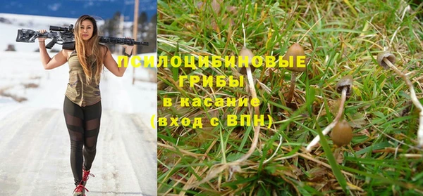 дживик Бронницы