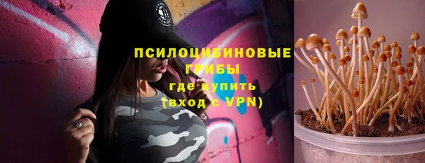 mdpv Бородино