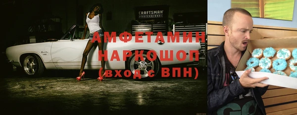 mdpv Бородино