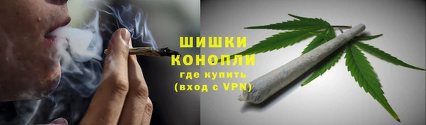 mdpv Бородино