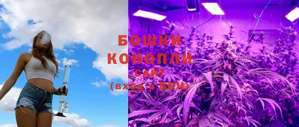дживик Бронницы