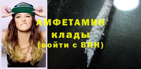 mdpv Бородино