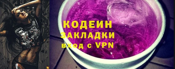 дживик Бронницы