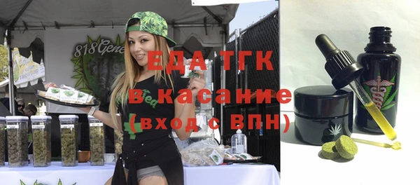 дживик Бронницы